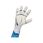 GoalKeeper Gloves